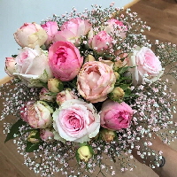Bild_01_Rosen Bild_01_Rosen