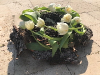 Bild_13_Kranz_Tulpen Bild_13_Kranz_Tulpen