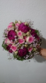 IMG_1446 IMG_1446