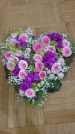 IMG_1524 IMG_1524