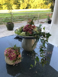 Bild15 Bild15